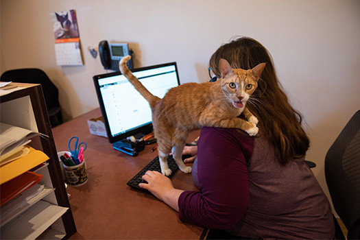 Best Friends Animal Society